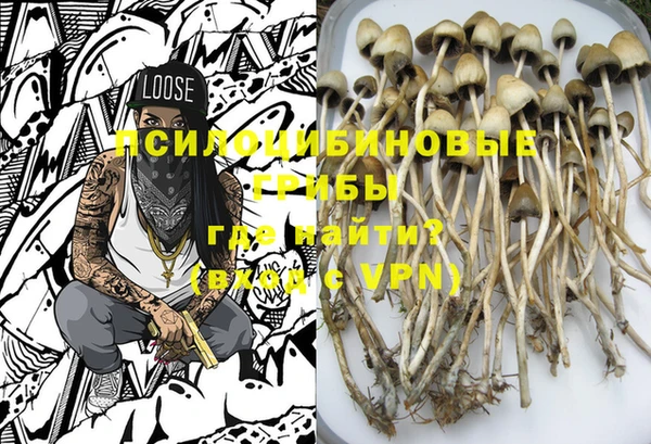 ешки Балахна