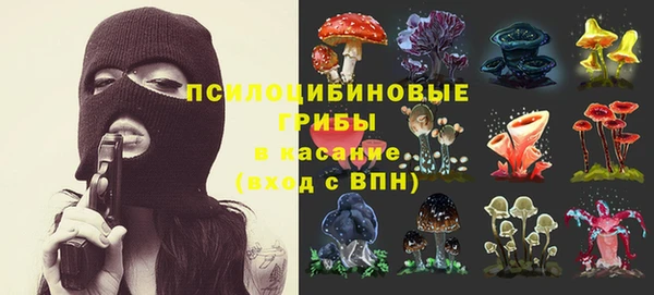 соль ск Аркадак