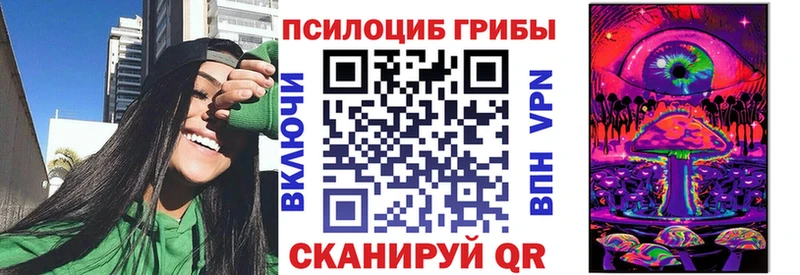Псилоцибиновые грибы Psilocybine cubensis  это как зайти  Верея  OMG как зайти 